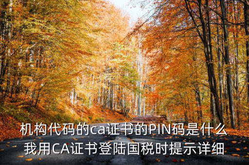 國稅ca證書登錄 密碼是什么，國稅第一次網(wǎng)上申報的登陸密碼是什么