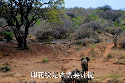 印花稅為什么不計提，印花稅要計提嗎