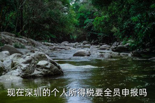 深圳為什么要個稅申報，外地企業(yè)如何在深圳為什么還要繳納個人所得稅1