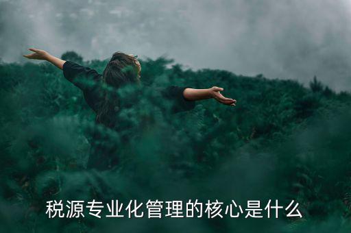 稅源專業(yè)化管理的核心是什么