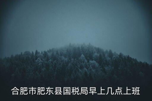 安徽國(guó)稅什么時(shí)候上班時(shí)間，國(guó)稅局的上班時(shí)間