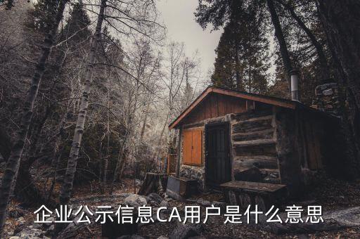 納稅人ca用戶是什么意思，什么是CA用戶啊