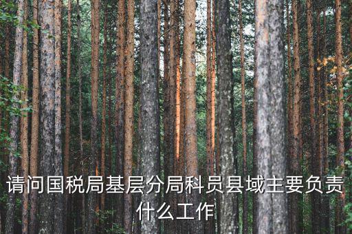 請問國稅局基層分局科員縣域主要負(fù)責(zé)什么工作