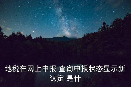 地稅在網(wǎng)上申報 查詢申報狀態(tài)顯示新認(rèn)定 是什