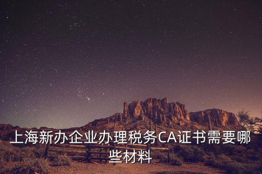 2014年7月份上海稅務局還需要審什么證，上海新辦企業(yè)辦理稅務CA證書需要哪些材料