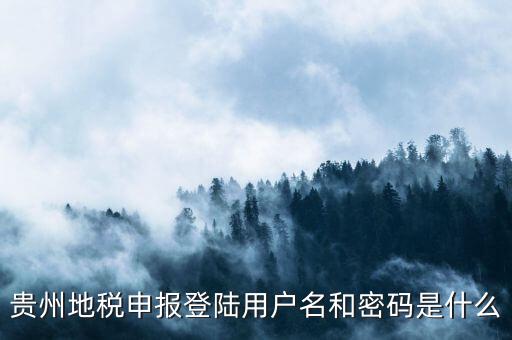 地稅登錄名密碼是什么意思，地稅申報的用戶名和密碼是什么