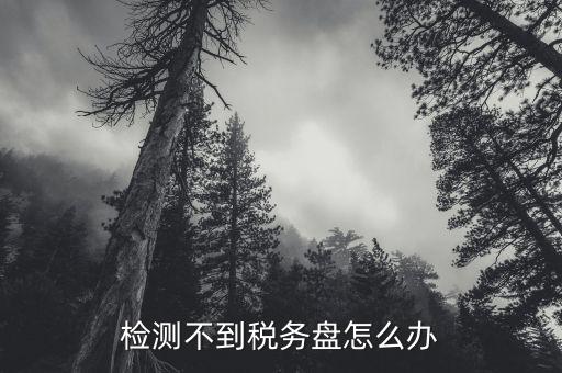 檢測不到稅務(wù)盤怎么辦