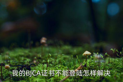 為什么ca證書不能登錄，我的BJCA證書不能登陸怎樣解決