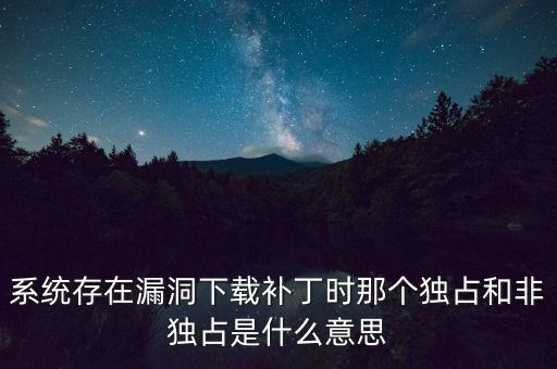 系統(tǒng)存在漏洞下載補丁時那個獨占和非獨占是什么意思