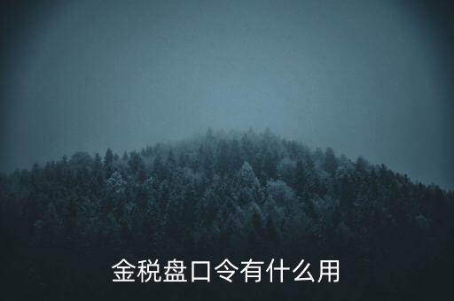 報(bào)稅數(shù)字證書口令是什么，陜西天暢偉業(yè)的網(wǎng)上報(bào)稅系統(tǒng)的登錄口令是什么