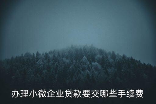 辦理小微企業(yè)貸款要交哪些手續(xù)費(fèi)