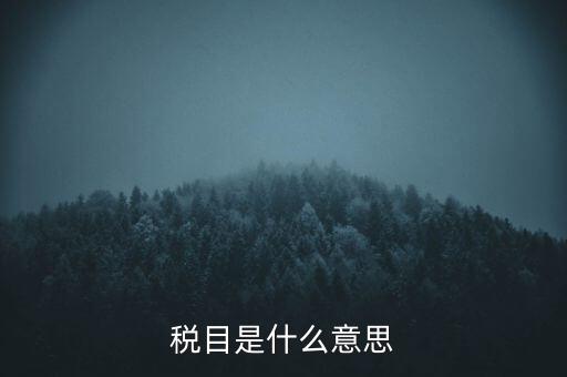 增值稅稅目是什么，增值稅是什么稅是什么