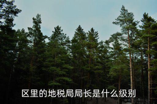 安徽省地稅局局長是什么級別，區(qū)里的地稅局局長是什么級別