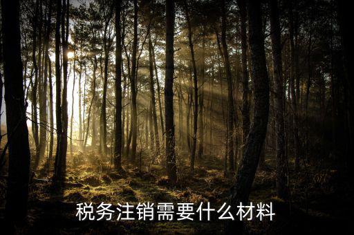 注銷金稅盤需要帶什么，注銷稅務(wù)登記證需提供哪些材料