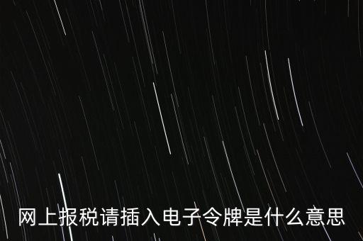 網(wǎng)上報(bào)稅請(qǐng)插入電子令牌是什么意思