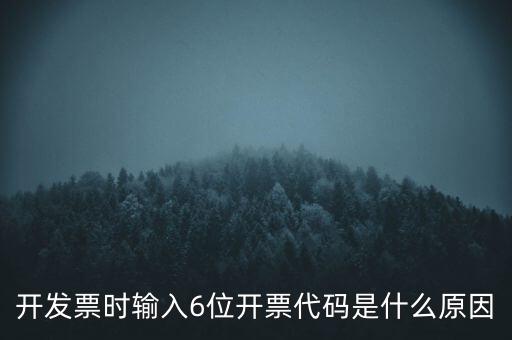 開發(fā)票時輸入6位開票代碼是什么原因