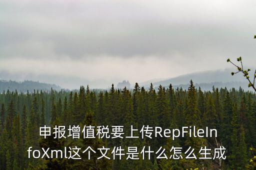 申報增值稅要上傳RepFileInfoXml這個文件是什么怎么生成