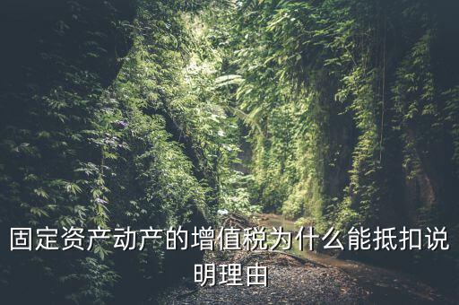 為什么用固定資產(chǎn)抵稅，固定資產(chǎn)抵稅問題