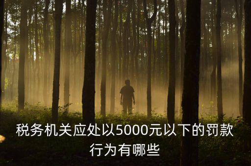 稅務(wù)機關(guān)應(yīng)處以5000元以下的罰款行為有哪些