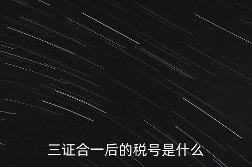 三證合一后的稅號是什么