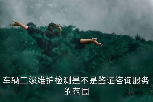 車輛二級(jí)維護(hù)檢測是不是鑒證咨詢服務(wù)的范圍