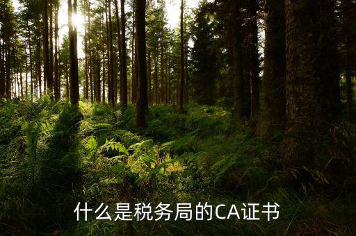 什么是納稅人ca證書，什么是ca證書