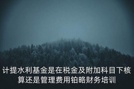 計提水利基金是在稅金及附加科目下核算還是管理費用鉑略財務(wù)培訓(xùn)