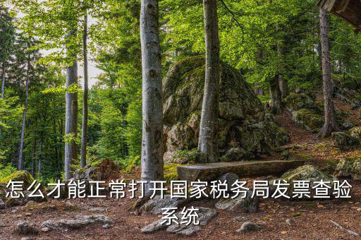 怎么才能正常打開國家稅務(wù)局發(fā)票查驗系統(tǒng)