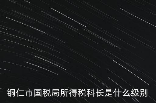 地稅局股長是什么級別，地稅里的職位 股長是什么級別