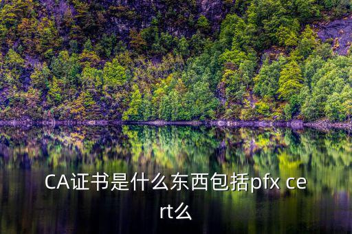 什么叫ca證書，什么事CA證書