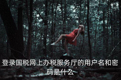 登錄國稅網(wǎng)上辦稅服務廳的用戶名和密碼是什么