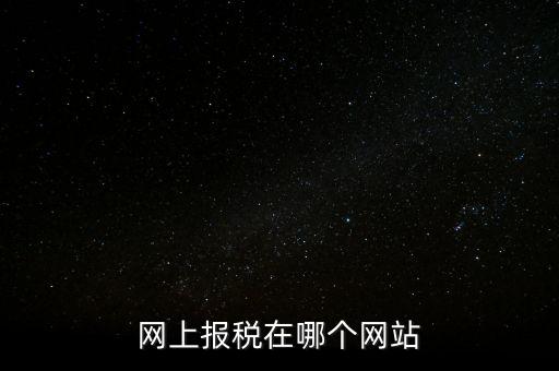 廣西網(wǎng)上辦稅的網(wǎng)址是什么意思，網(wǎng)上報稅在哪個網(wǎng)站