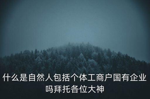 什么是稅務(wù)中的自然人，會(huì)計(jì)中自然人所指的是那種人