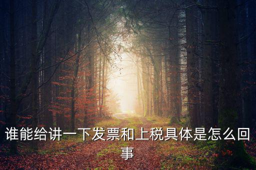 誰(shuí)能給講一下發(fā)票和上稅具體是怎么回事