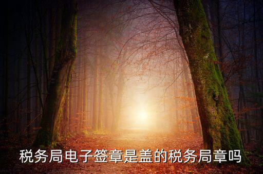 稅務(wù)局電子簽章是什么，在國稅系統(tǒng)電子簽章時為什么不是每次都提示輸入口令