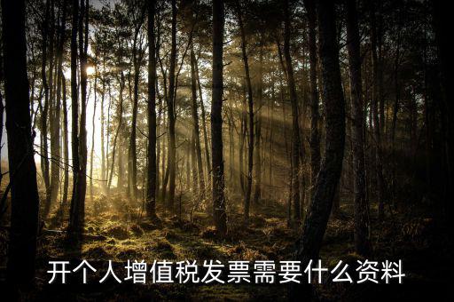 開個(gè)人增值稅發(fā)票需要什么資料