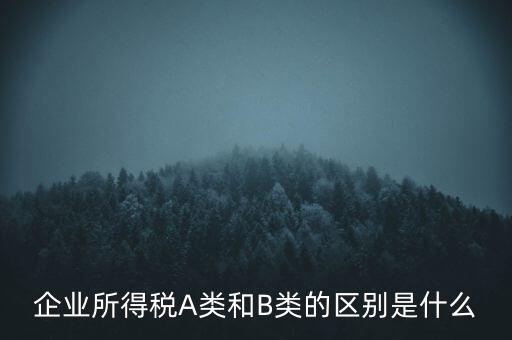 企業(yè)所得稅b類是什么意思，企業(yè)所得稅A類和B類的區(qū)別是什么