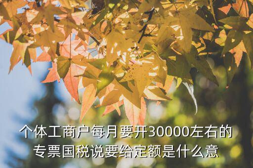 國稅定額是什么意思，個(gè)體工商戶每月要開30000左右的專票國稅說要給定額是什么意