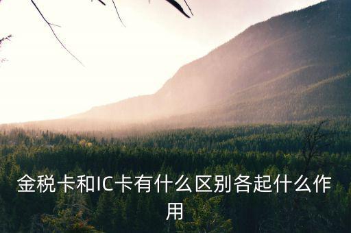 報稅ic卡是什么，報稅IC卡是什么東西有什么用