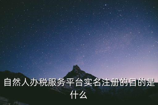 自然人辦稅服務(wù)平臺實名注冊的目的是什么