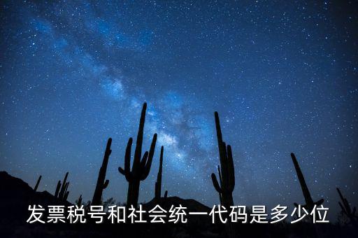 發(fā)票稅號(hào)和社會(huì)統(tǒng)一代碼是多少位