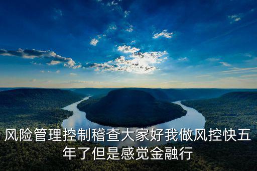 風(fēng)險管理控制稽查大家好我做風(fēng)控快五年了但是感覺金融行