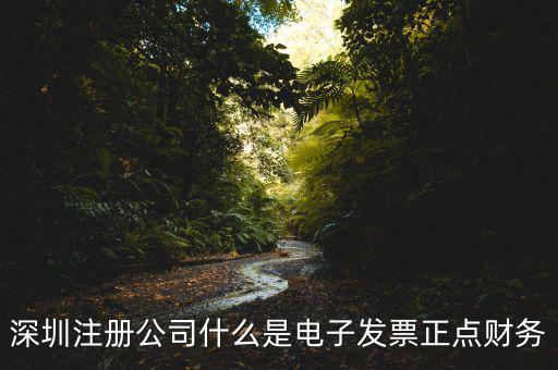 深圳注冊(cè)公司什么是電子發(fā)票正點(diǎn)財(cái)務(wù)