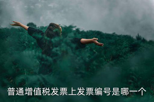 增值稅編號是什么，普通增值稅發(fā)票上發(fā)票編號是哪一個