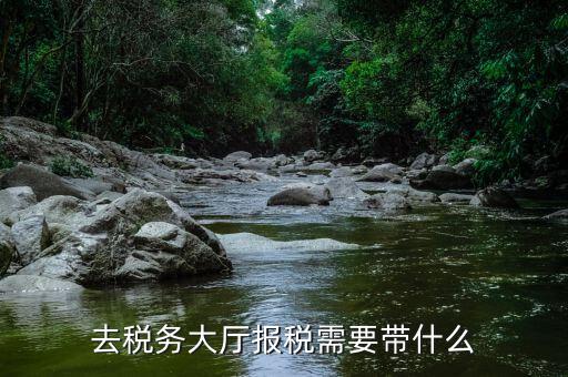 地稅大廳申報(bào)需要什么，到地稅大廳申報(bào)地稅需要什么資料