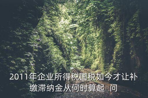 納稅滯納金什么時候算，企業(yè)所得稅滯納金計算從何時開始計算