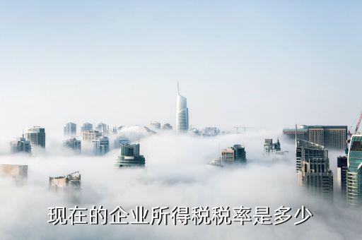 什么是企業(yè)所得稅稅率是多少合適，現(xiàn)在的企業(yè)所得稅稅率是多少