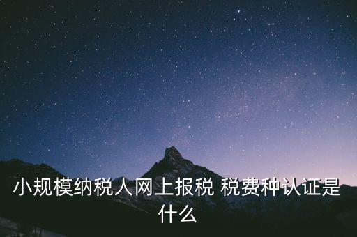 小規(guī)模納稅人網(wǎng)上報稅 稅費(fèi)種認(rèn)證是什么