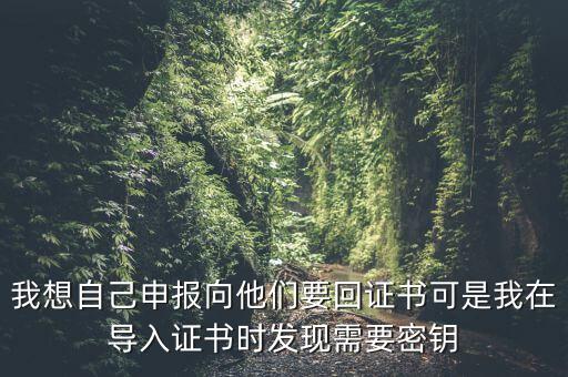 報稅為什么要用到密鑰，我想自己申報向他們要回證書可是我在導(dǎo)入證書時發(fā)現(xiàn)需要密鑰