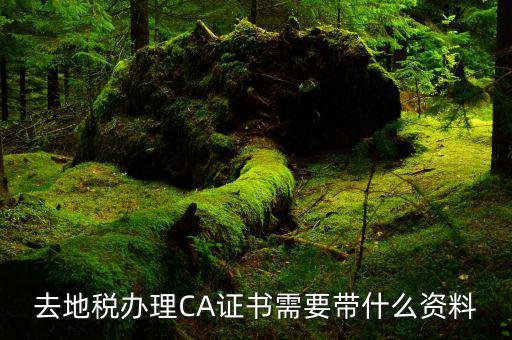 地稅局ca證書是什么，去地稅辦理CA證書需要帶什么資料